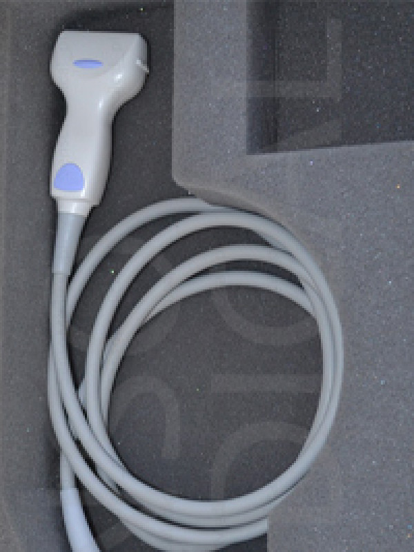 Głowica sonda liniowa USG Toshiba PLT-1204BT