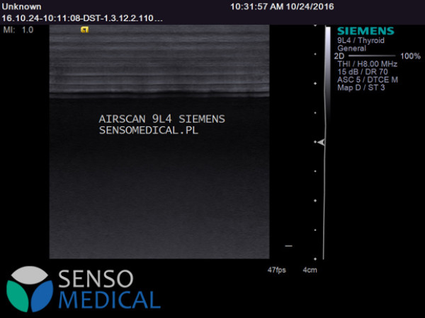 Ultrasonograf , aparat USG klasy PREMIUM Siemens S2000 z zaawansaowaną elastografią
