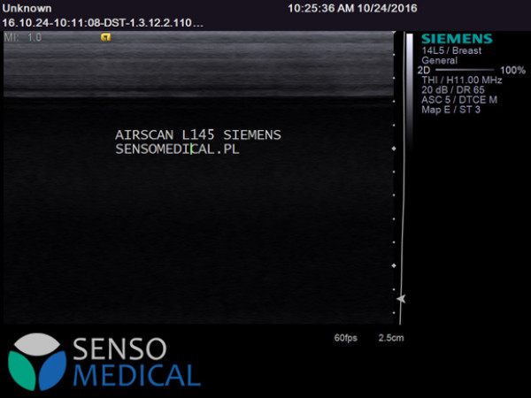 Ultrasonograf , aparat USG klasy PREMIUM Siemens S2000 z zaawansaowaną elastografią