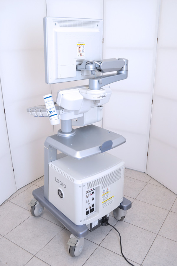 Ultrasonograf GE LOGIQ P6
