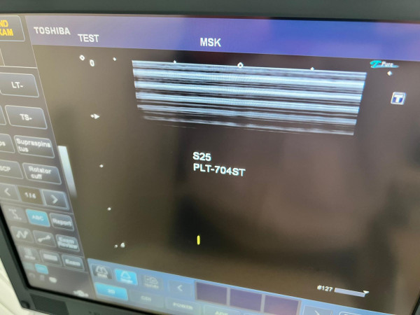 Głowica sonda konweksowa USG Toshiba PLT-704ST VIAMO