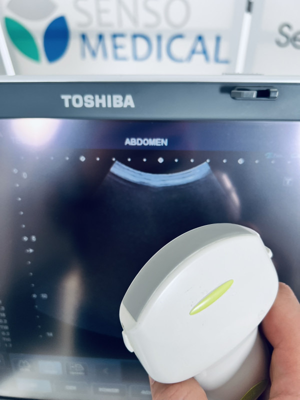 Przenośny aparat USG Toshiba Viamo z wózkiem SSA-640A