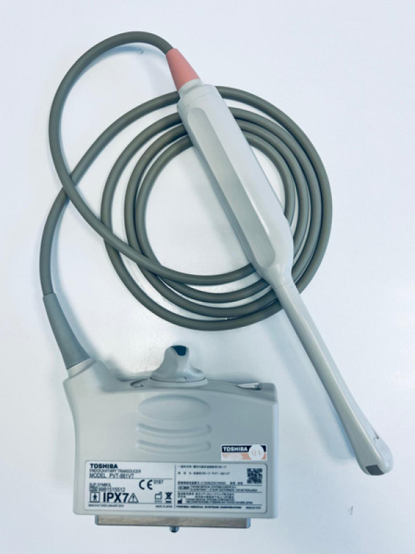 Głowica sonda endowginalna USG Toshiba PVT-661VT 9C3