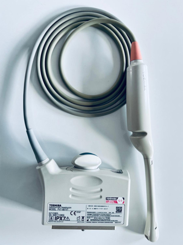 Głowica sonda endowginalna USG Toshiba Canon PVT-661VT 9C3